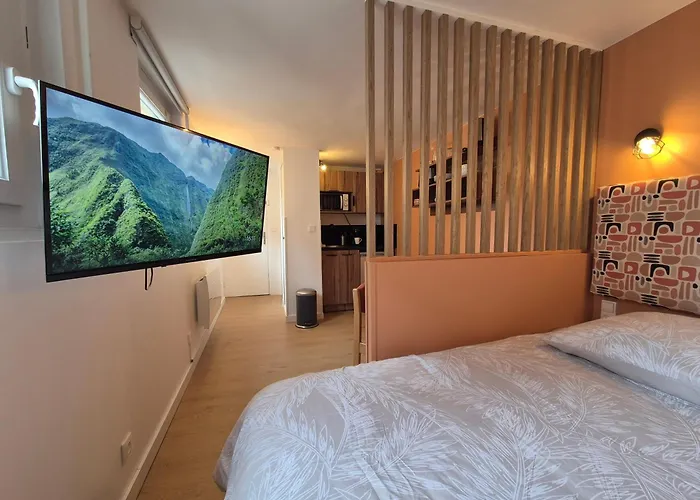 Апартаменти Hypercentre 2 Personnes Le Terracotta *