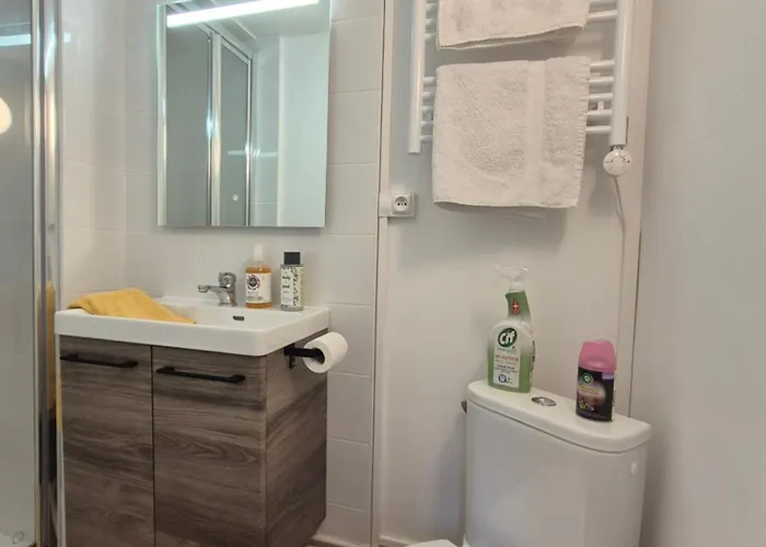 Апартаменти Hypercentre 2 Personnes Le Terracotta *