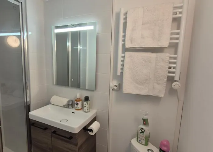 Apartment Hypercentre 2 Personnes Le Terracotta *